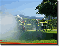 BDLP_Gruppe 1_Bronze_Feuerwehr St.Marein Mzt_29062024_08