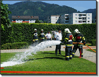 BDLP_Gruppe 2_Gold_Feuerwehr St.Marein Mzt_29062024_12
