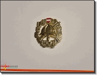 FLA Gold_Feuerwehr St.Marein Mzt_05042025_01