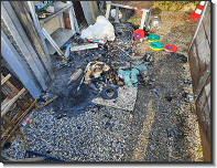 WhatsApp Image 2026-02-03 at 11.00.310