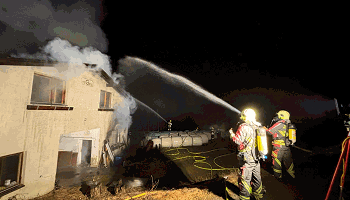 WhatsApp Image 2026-02-05 at 23.18.43