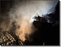 WhatsApp Image 2026-02-05 at 23.18.453