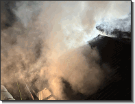 WhatsApp Image 2026-02-05 at 23.18.4767jpeg