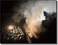 WhatsApp Image 2026-02-05 at 23.18.47666