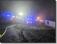 WhatsApp Image 2026-02-06 at 09.24.371