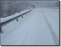 WhatsApp Image 2026-02-20 at 09.26.401