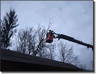 WhatsApp Image 2026-03-26 at 18.37.14