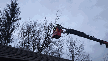 WhatsApp Image 2026-03-26 at 18.37.14